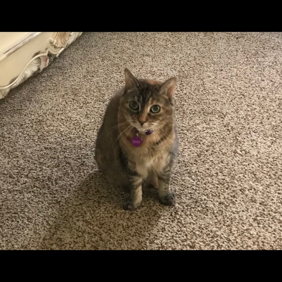 Meet your Posher, Christine - Picture 3 of 3